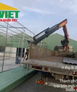 Cần Lưu Ý Những Gì Khi Tìm Mua Tôn Austnam